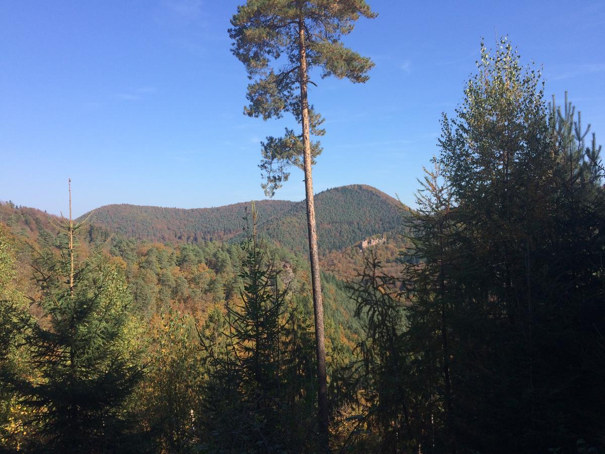 Un Gite Dans La Vallee Obersteinbach Экстерьер фото